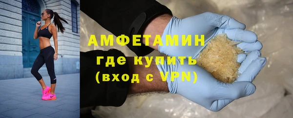 прущие грибы Мегион