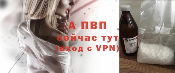 ПСИЛОЦИБИНОВЫЕ ГРИБЫ Медвежьегорск
