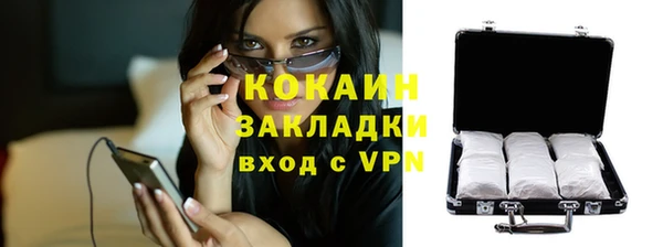 прущие грибы Мегион