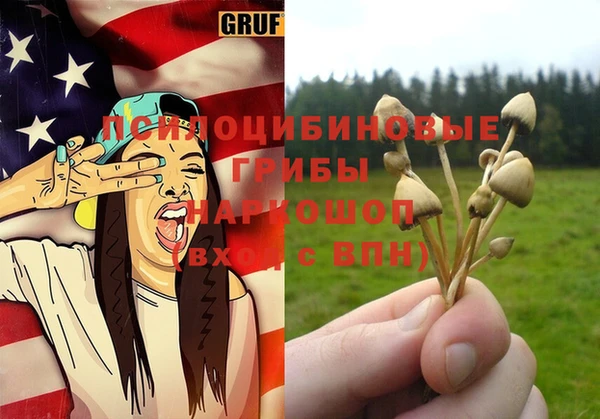 прущие грибы Мегион
