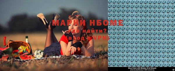 прущие грибы Мегион