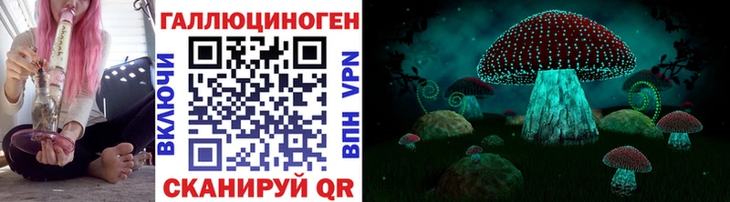 Псилоцибиновые грибы Cubensis  Тетюши 